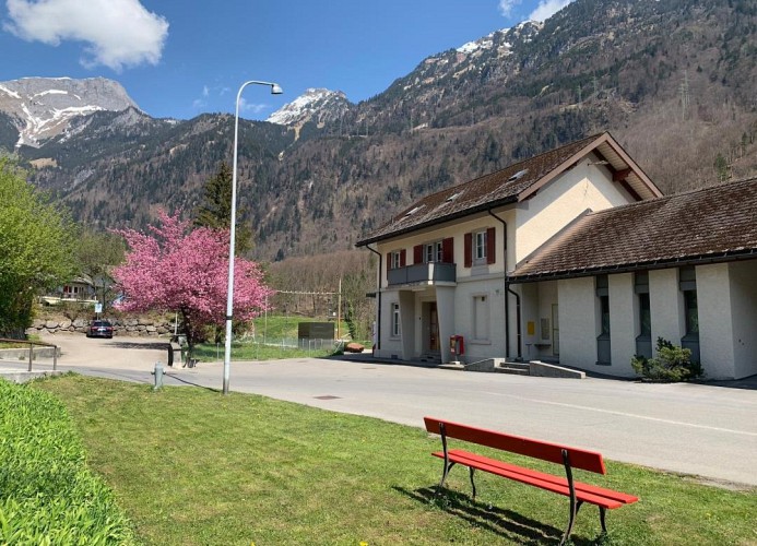 Revier schlicht und bahnsinnig