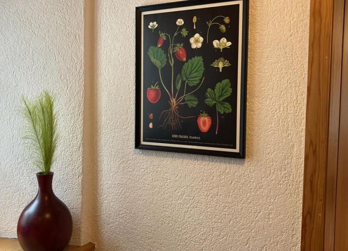 Revier Bliili und Spitzer