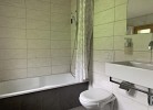 Revier Silberdistel im Schwettiberg