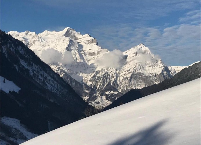 Revier hike to Herrenegg