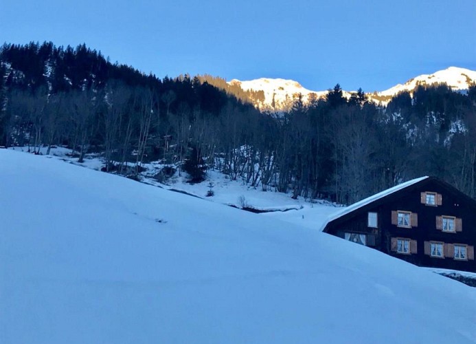 Revier hike to Herrenegg