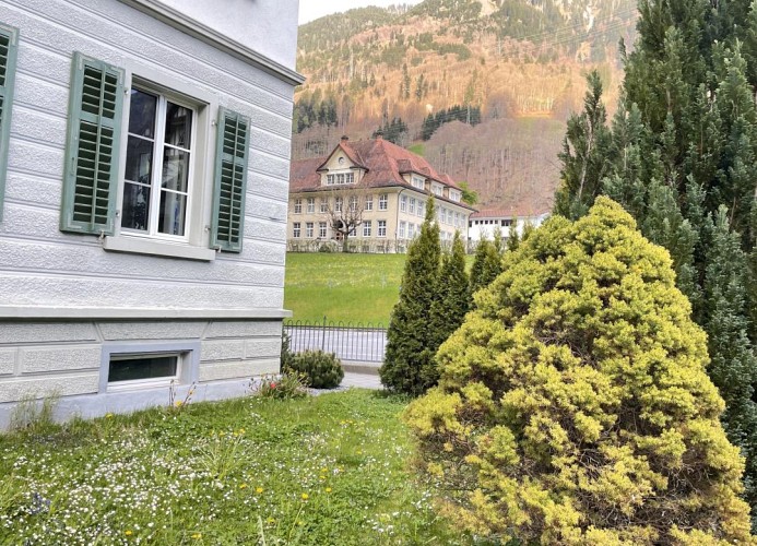 Revier Attika im Hazzo