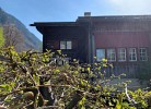 Revier musisch und historisch
