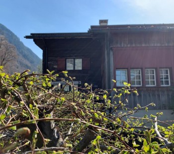 Revier musisch und historisch