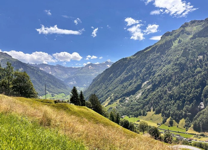 Revier hike to Herrenegg