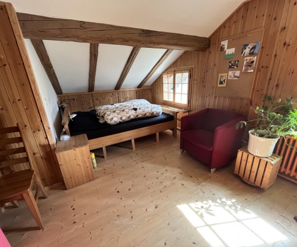 Revier Fuchs und Has