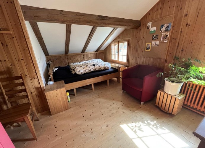Revier Fuchs und Has