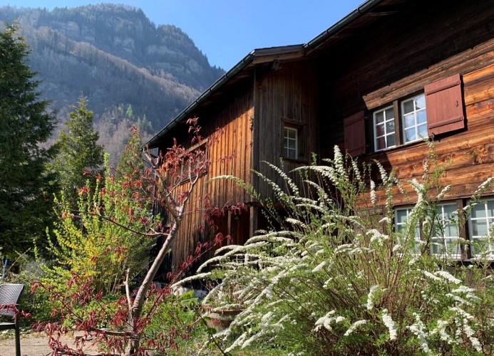 Revier lauschig und charmant