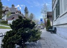 Revier Kanzlei im Hazzo