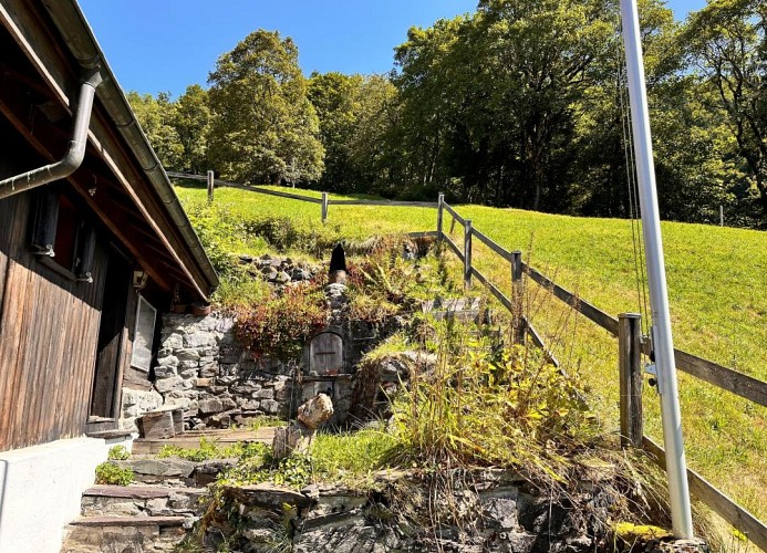 Revier hike to Herrenegg