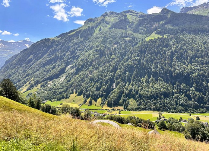 Revier hike to Herrenegg