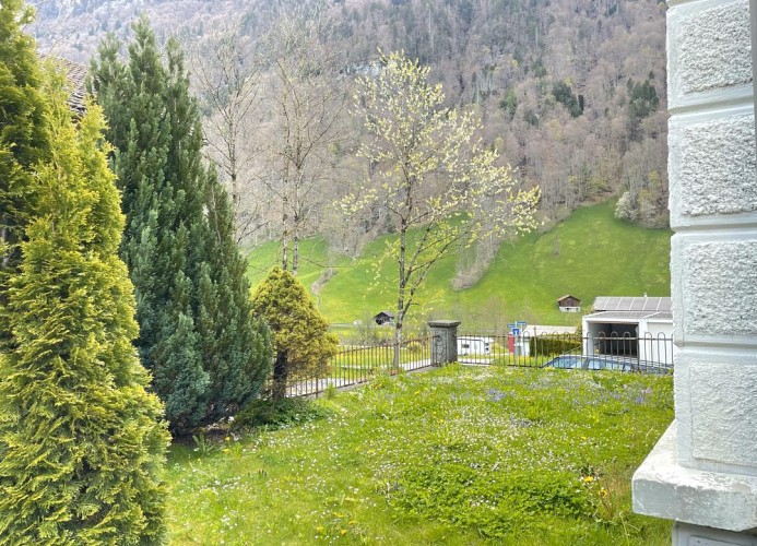 Revier Attika im Hazzo