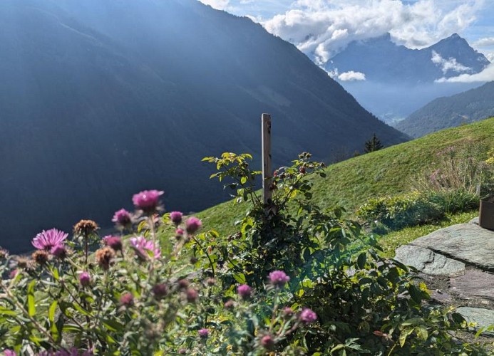 Revier hike to Herrenegg