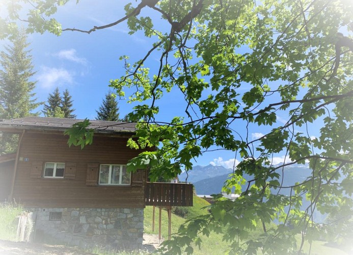 Revier Sytli im Höcheli