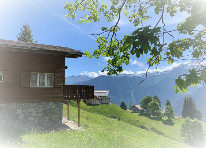 Revier Sytli im Höcheli