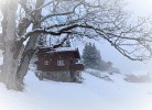 Revier Sytli im Höcheli