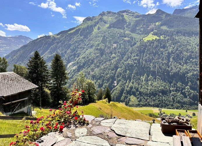 Revier hike to Herrenegg