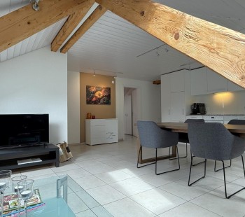 Revier Attika im Hazzo