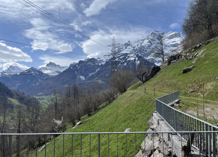 Revier Fuchs und Has