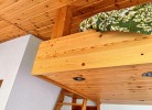 Revier Fuchs und Has