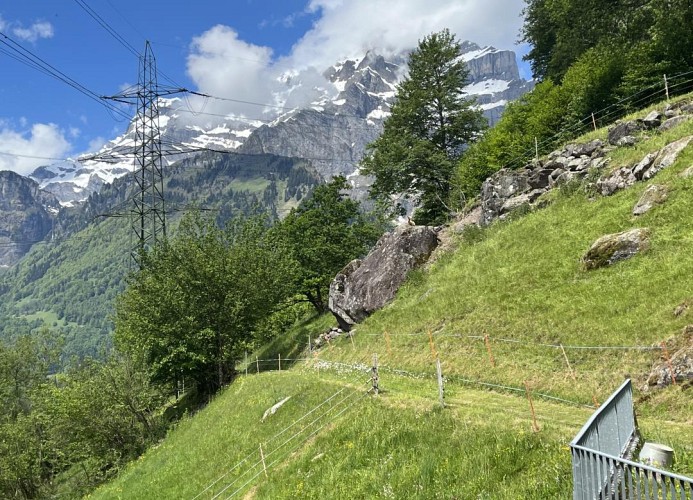 Revier Fuchs und Has