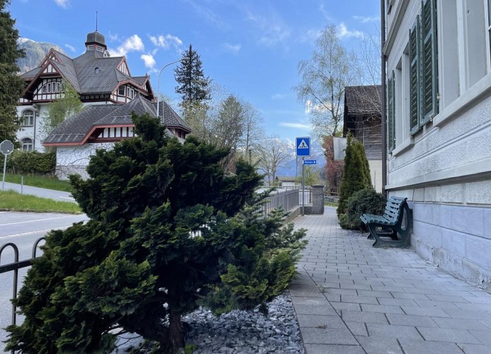 Revier Attika im Hazzo